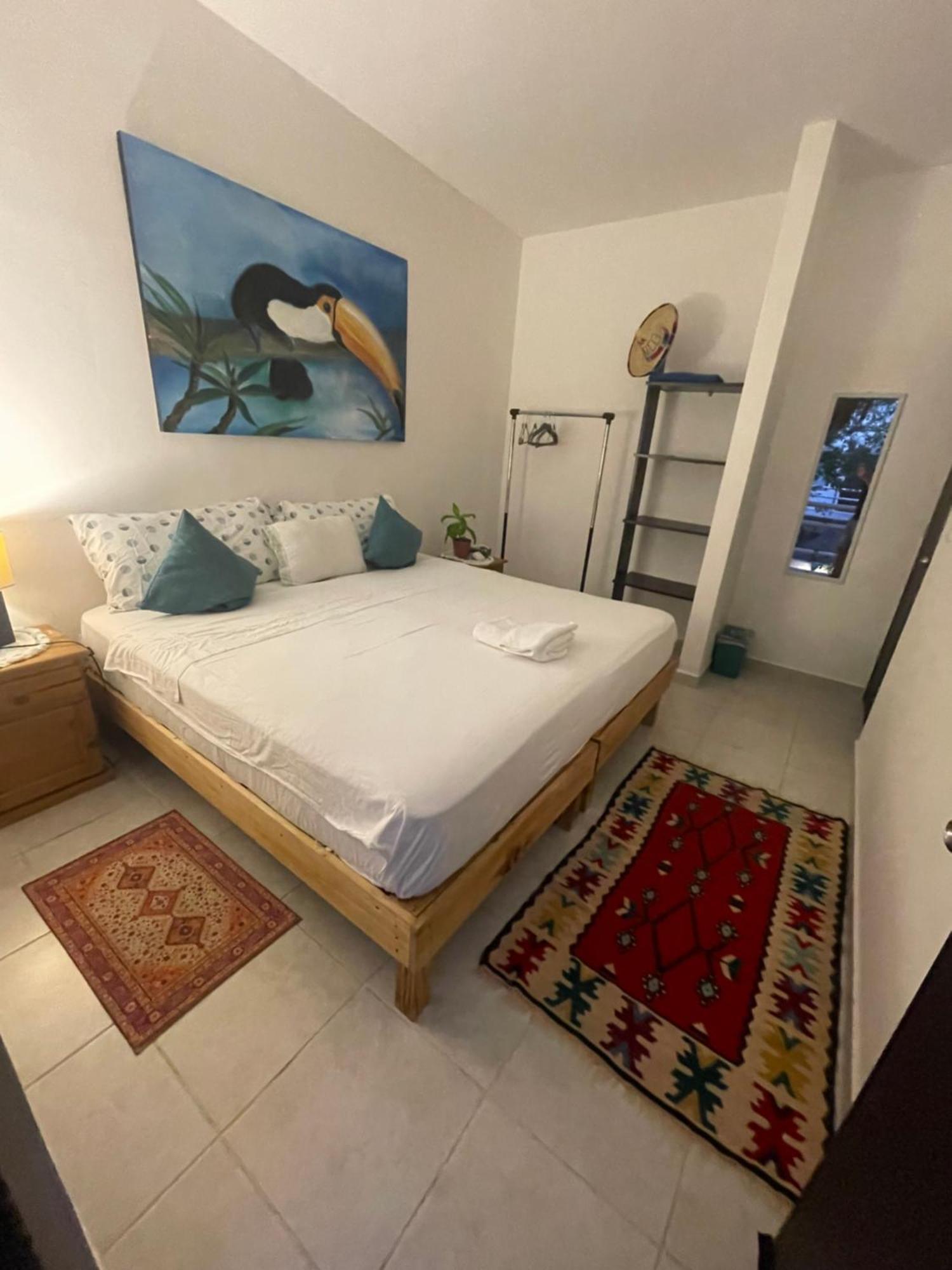 Home's Jungle Puerto Morelos 20 Minutes From The Airport Gasthof *