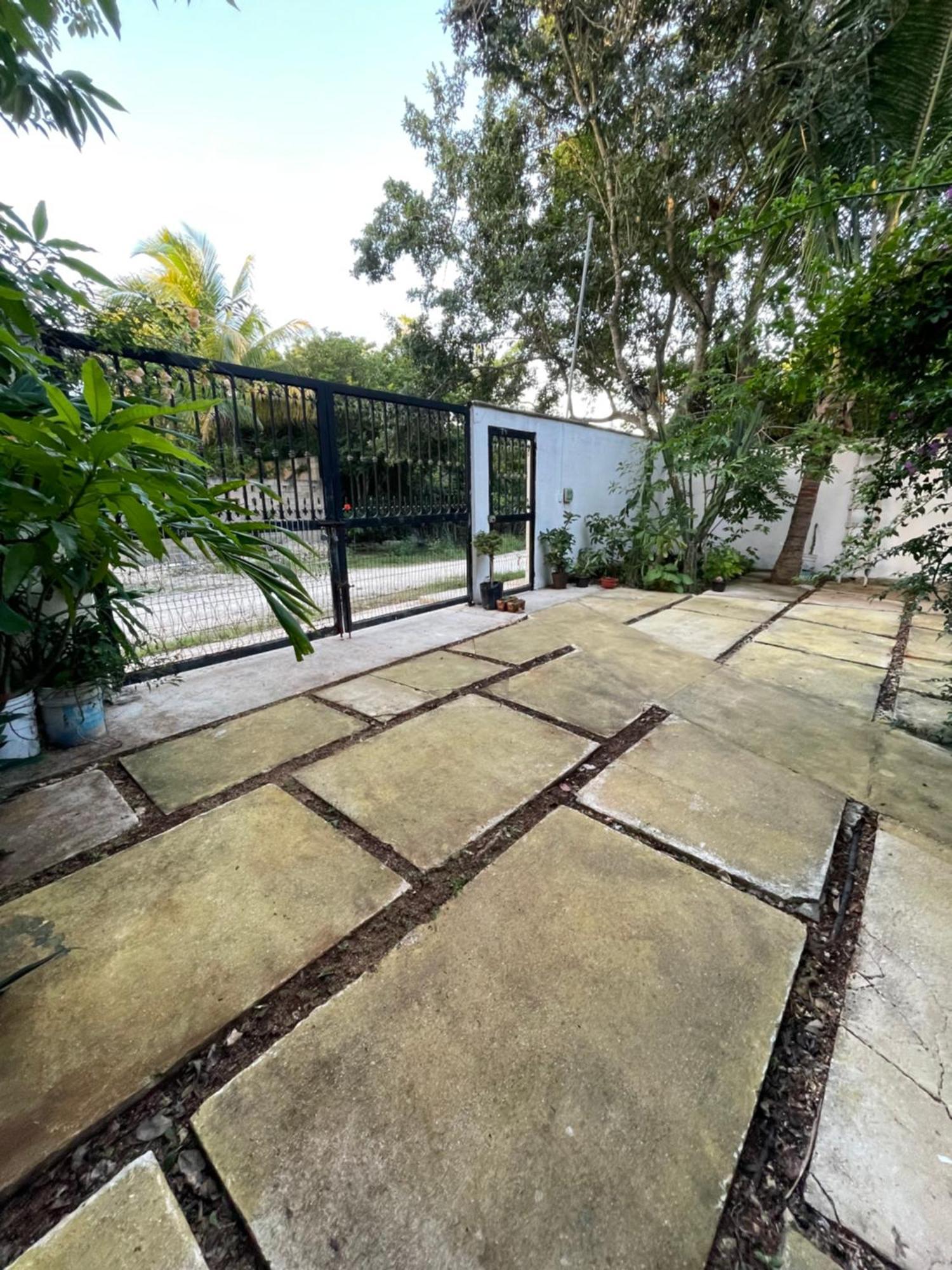Guest house Home's Jungle Puerto Morelos 20 Minutes From The Airport *
